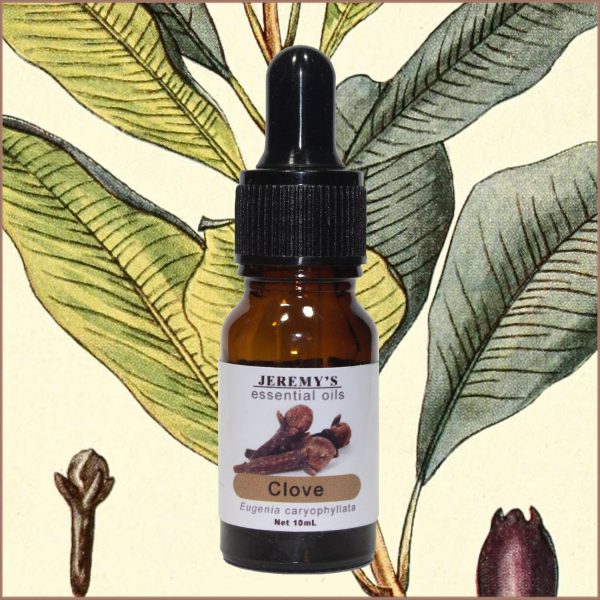 Pure Clove Bud Essential Oil - Image 2