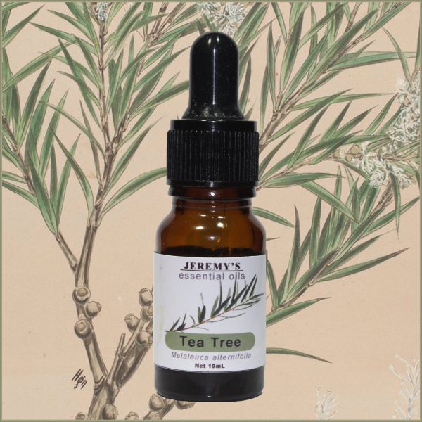 Pure Tea Tree Essential Oil - Image 2