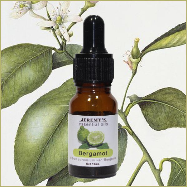 Pure Bergamot Essential Oil - Image 2