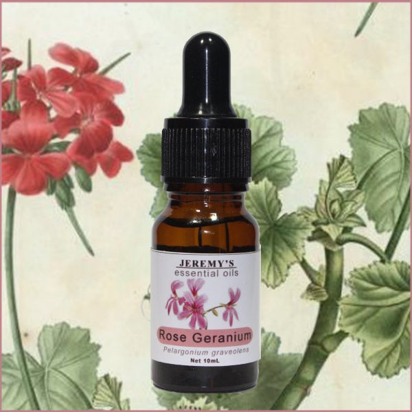 Pure Rose Geranium Essential Oil - Image 2