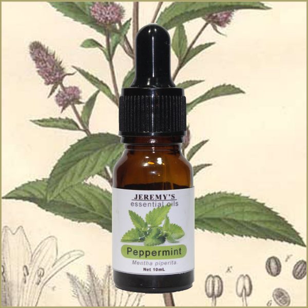 Pure Peppermint Essential Oil. - Image 2