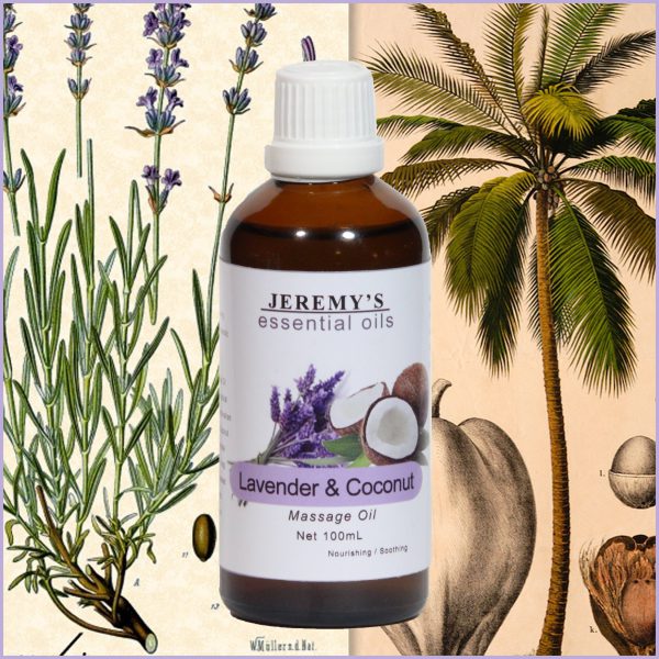 Lavender and Coconut Massage Oil - Image 2